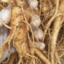 한일인삼 이미지