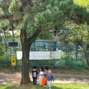 나리유치원 | 일일아마 후기 — 나리들의 하루를 함께 보내기