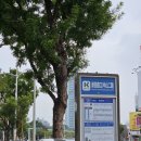 중부-현장-중부-928 | 가오슝에서 소류구 가는 방법 혼자 여행 소요시간 가격