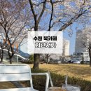 성정평생학습관 1층 화장실 | [수원 지관서가] 수원 가볼 만한 곳, 벚꽃 뷰가 예쁜 북카페, 주차 요금부터 베이커리 맛 후기까지 총정리