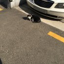 더죤푸드 | 200322-0505 냉장고를 열었더니 잼이 없는 일기