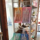 워킹페코 이미지