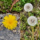 용연농장 이미지