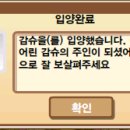 아마도특별한 이미지