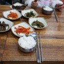 햇살담은백반