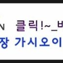 종진농장 네이버블로그