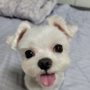 김미용실 이미지