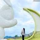 종합 성인게임장 | 진도 쏠비치 애견동반 스위트룸 내돈내산 가족여행