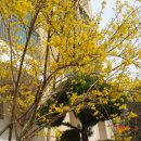 조약돌민박 이미지