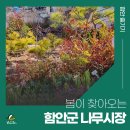 김종희농장 | 봄이 찾아오는 함안군 가야읍 산림조합 나무시장 개최 및 운영 안내