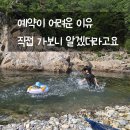 숲속캠핑장 | 울진 왕피천 숲속캠핑장 후기, 계곡 사진 한 장에 반해 다녀왔어요