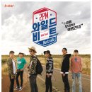 와일드인터네셔널