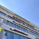 두리그루밍 | 인천실내데이트 추천 - 귀여운 개냥이들과 힐링할수 있는 고양이주택 서창점 후기