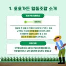 호호협동조합