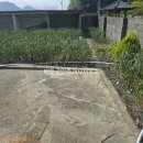 금당면-3 이미지