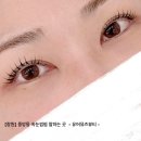 뮤즈뷰티(MUSE BEAUTY) | [창원] 중앙동 속눈썹펌 잘하는 곳 <유어뮤즈뷰티>