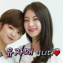 정연