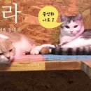 최우식동물병원 이미지