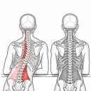 UR(김해시)-[율하로]-상-25 | 김해 율하 2지구 바디 관리 추천 허리디스크 체형 관리, 김승연 에스테틱
