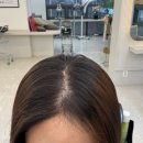 백장미사 | 미사 미용실 어반트랜드 사라쌤 노란끼 없는 애쉬브라운 염색