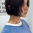 플렌제이헤어