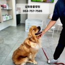 한주동물병원 이미지