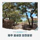 새미기픈물유치원 | 제주 꿈새미 회천분원 예약 꿀팁&amp;방문 후기