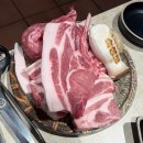 꽃보다옷봐(협) | 제주도 당일치기 | 1월 동백꽃 겨울 여행 코스 추천 (동백포레스트·동백수목원)