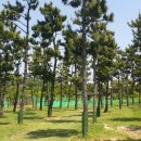 꿈의대화 노래연습장 이미지