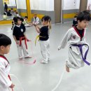 영운태권도 이미지