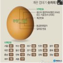 계란껍데기 숫자의 의미 이미지