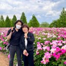 합천이모 이미지