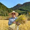 영농조합법인 명인 이미지