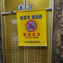 엿재한우 농장 | 토끼가 브이를 하면 토끼가 세 마리