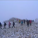 은빛세상 이미지