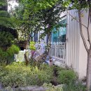 용구대로 2771번길 이미지