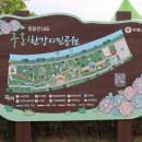 코스모스편의점