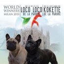 월드켄넬 이미지