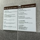 휴일 | [이천] 반려견과 이색데이트 강아지 찜질방 애견카페 - 휴일도 내돈내산 후기