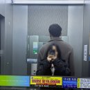 유안초등북길 이미지