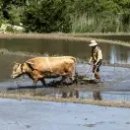 올린의원 이미지