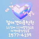 댕댕이 애견미용샵 이미지