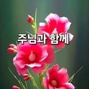 연두 - 송파구 백제고분로50길 43 | 연두