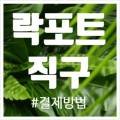 골드스톤파트너스