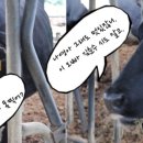 나영목장 이미지