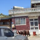 김영수농장 이미지