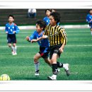 서울청량초등학교 이미지