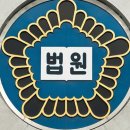 "왜 배변을 못 가려?"…생후 1~2개월된 강아지 베란다 밖으로 던진 40대女 이미지