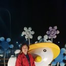 대관령 당구장 Daum카페