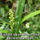 토요일 이미지